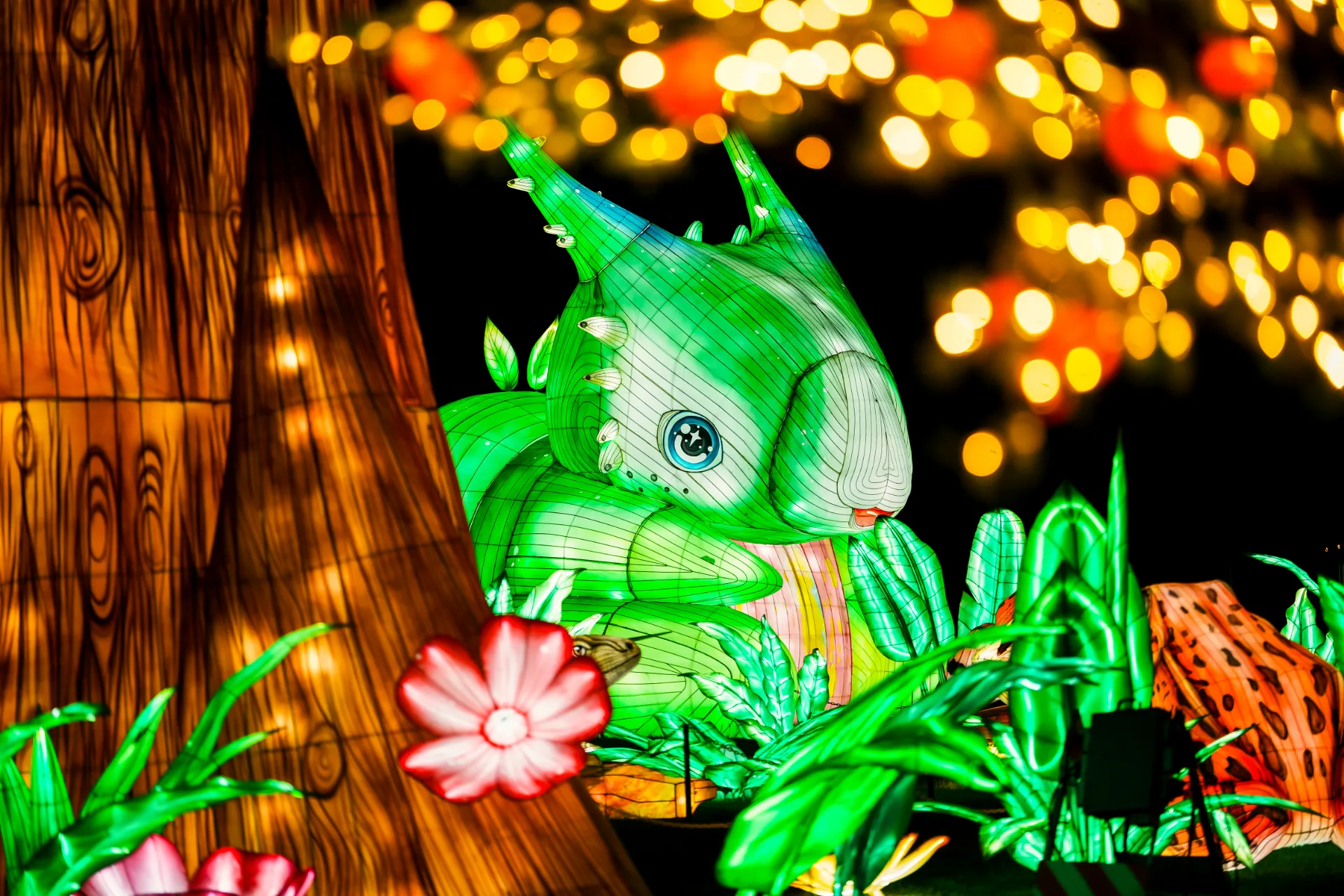 Enchanted Jungle
